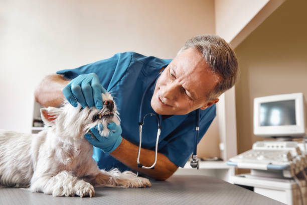 Best Emergency Tooth Extraction  in Hertford, NC